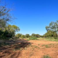Frio 20 Acres images 2