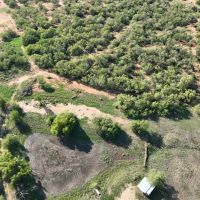 Frio 20 Acres images 3