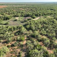 Frio 20 Acres images 5