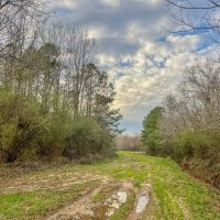 Recreational Lot for Sale in Brookhaven MS images 2