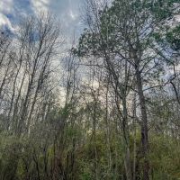 Recreational Lot for Sale in Brookhaven MS images 5