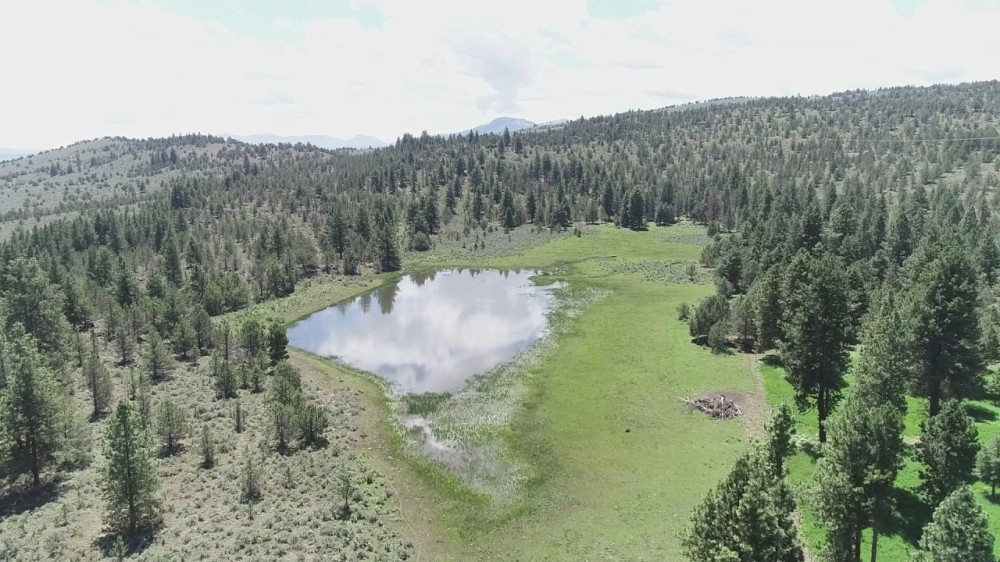 Pinherio Ranch featured image