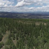 Pinherio Ranch images 3