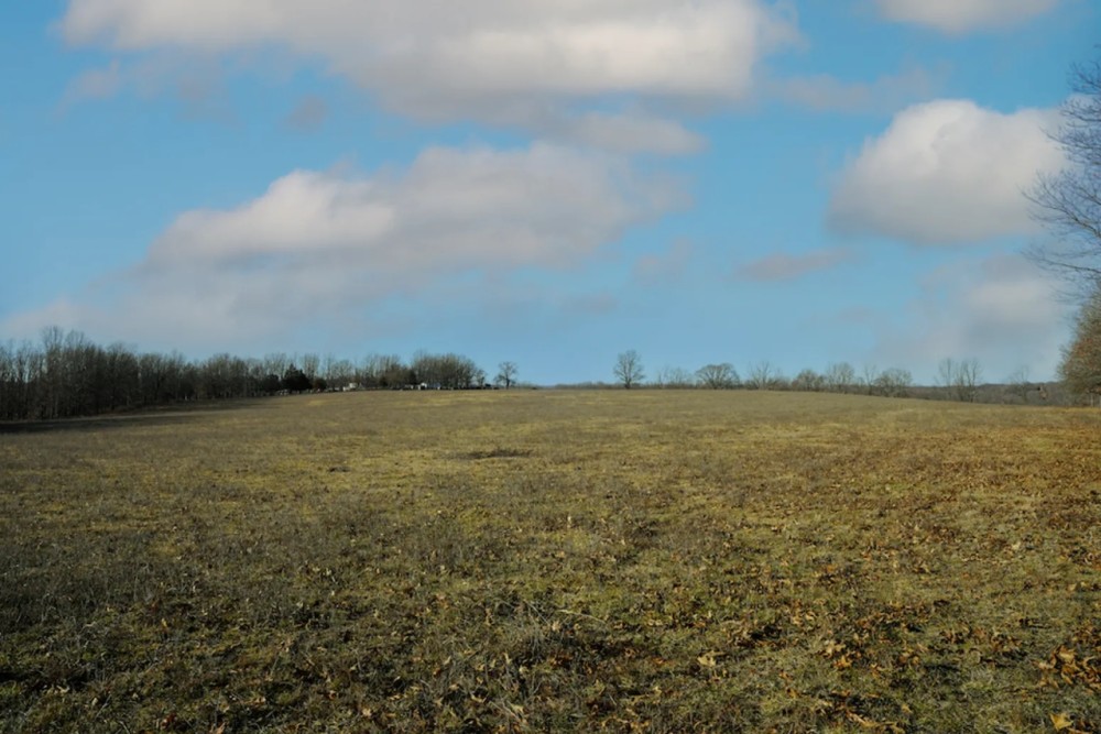 Improved Pasture And Hunting Farm With Build Sites Near Hartville featured image