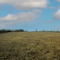 Improved Pasture And Hunting Farm With Build Sites Near Hartville