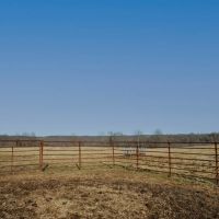 Improved Pasture And Hunting Farm With Build Sites Near Hartville images 4