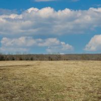 Improved Pasture And Hunting Farm With Build Sites Near Hartville images 5
