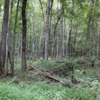 CAN03 images 5