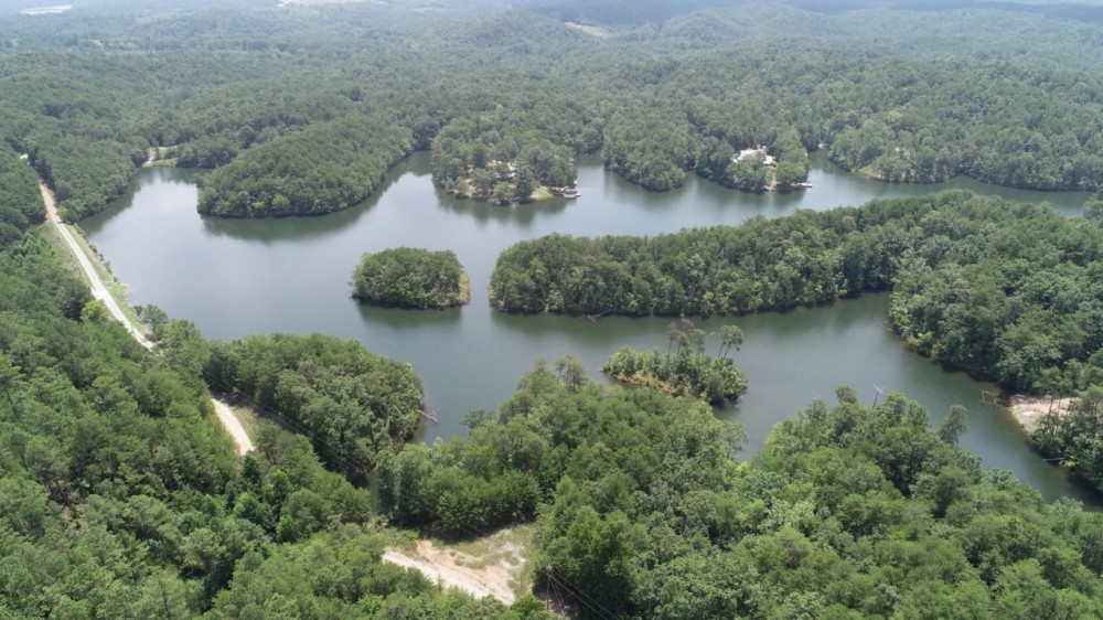 148 - acres Sawtooth Branch Lake featured image