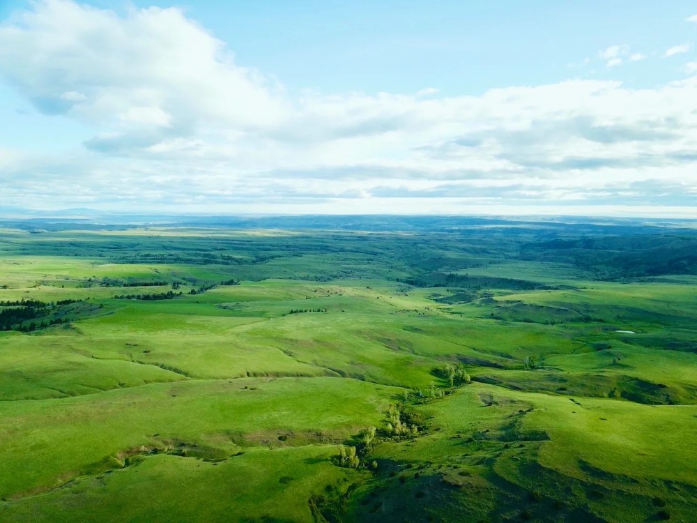 Cow Face Hill Ranch featured image