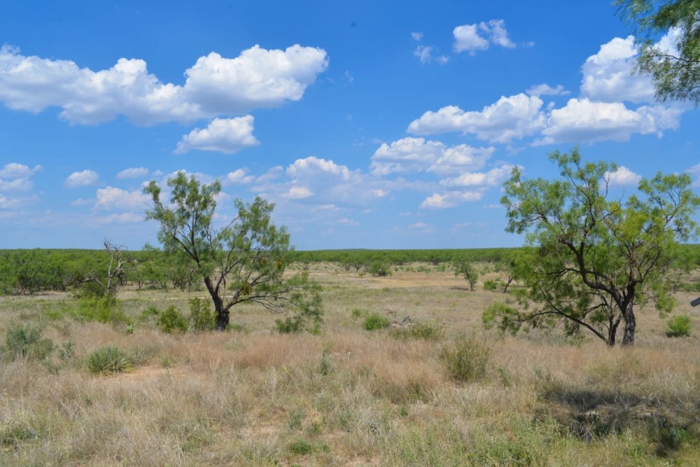 Grape Creek Ranch featured image