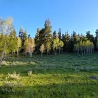 Bear Valley Ranch images 4