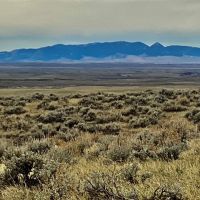 Recreational Paradise Hunting in Roy MT