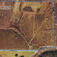 85 acres House with Open Meadows and Woodlands in Rexville NY 1163 Irish Hill Road images 3