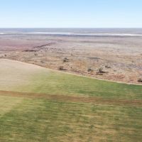 CR 328 VERSATILE Hunting Dryland Farm