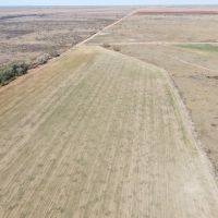 CR 328 VERSATILE Hunting Dryland Farm images 4