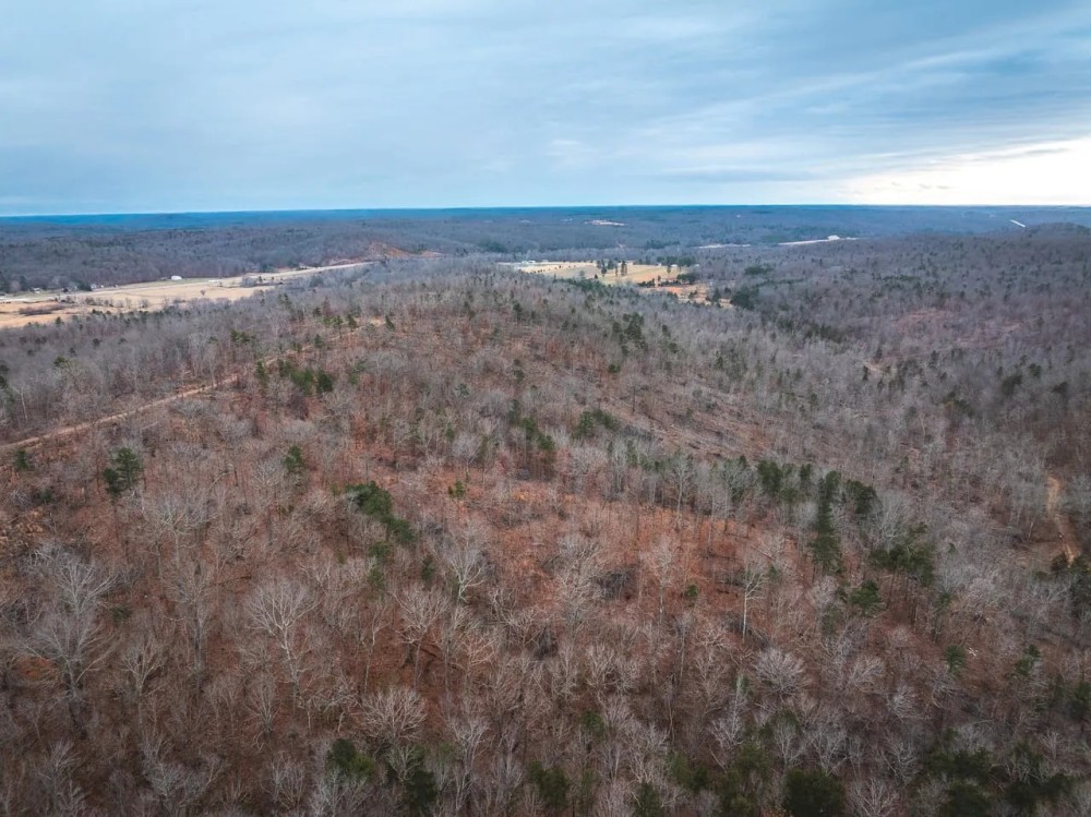 Fredericktown Find featured image