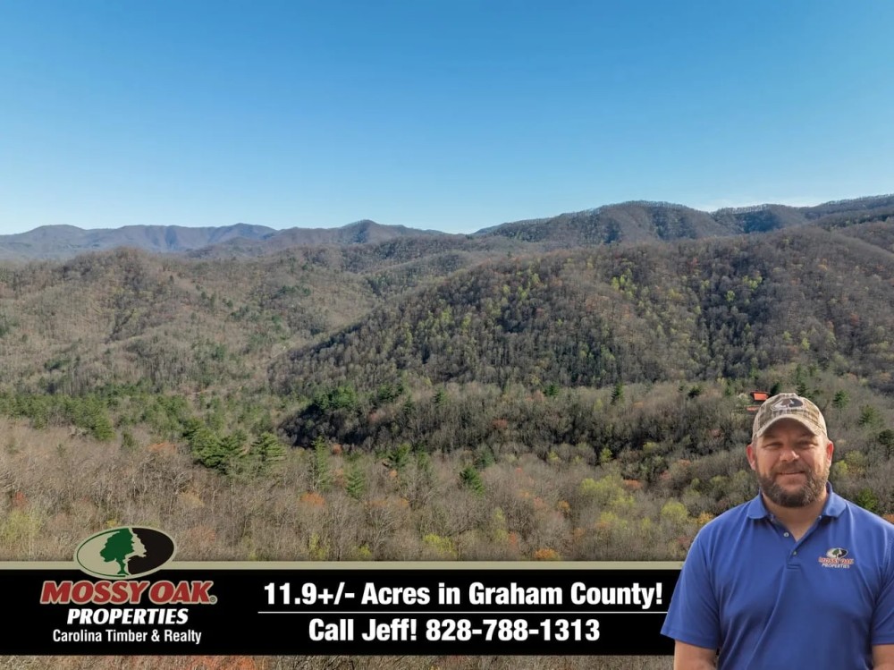 11.9 - Acres in Graham County featured image