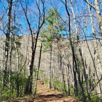 11.9 - Acres in Graham County images 3