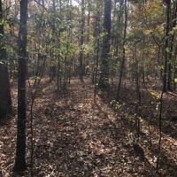 Upson 25 Jimerson images 2