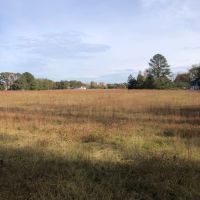Upson 25 Jimerson images 3