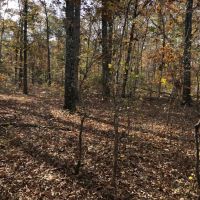 Upson 25 Jimerson images 4