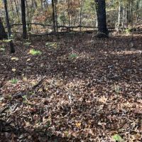 Upson 25 Jimerson images 5