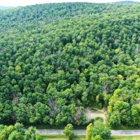 120 acres Hunting Land and Recreational Land with Pond in Bath NY 8175 County Road 13 near Keuka Lake