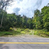 120 acres Hunting Land and Recreational Land with Pond in Bath NY 8175 County Road 13 near Keuka Lake images 5