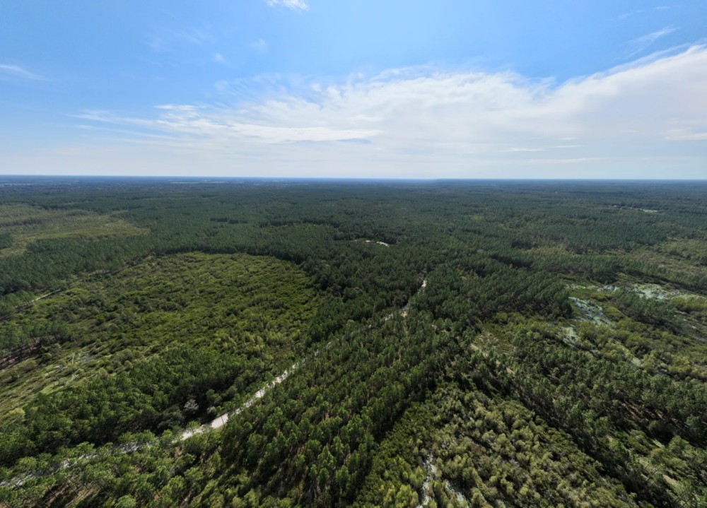 Mayo Tract South featured image
