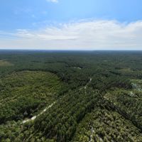 Mayo Tract South
