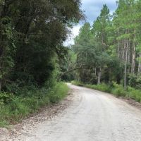 Mayo Tract South images 2