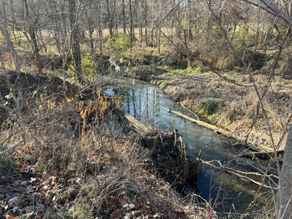 Pike County Illinois 25 Acres For Sale featured image