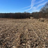 Pike County Illinois 25 Acres For Sale images 4