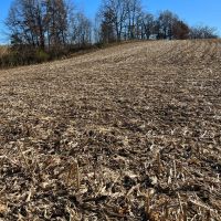 Pike County Illinois 25 Acres For Sale images 5
