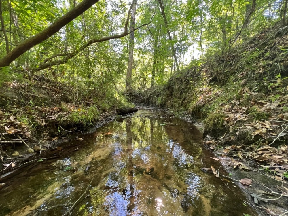 Lake Point Tract -121 Acres featured image