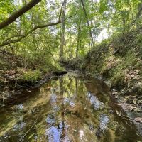 Lake Point Tract -121 Acres