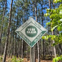 Lake Point Tract -121 Acres images 2