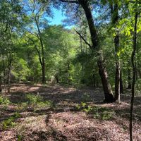 Lake Point Tract -121 Acres images 4