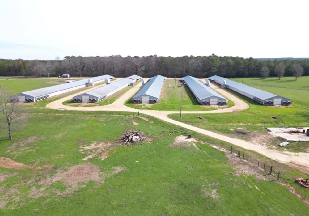 Poultry Farm for Sale in Mississippi w Acreage Natural Gas featured image