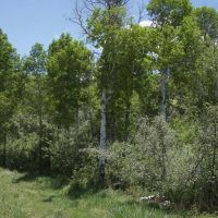 Trapper Divide Ranch images 5