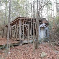 LA - Caldwell 20 acres - images 2