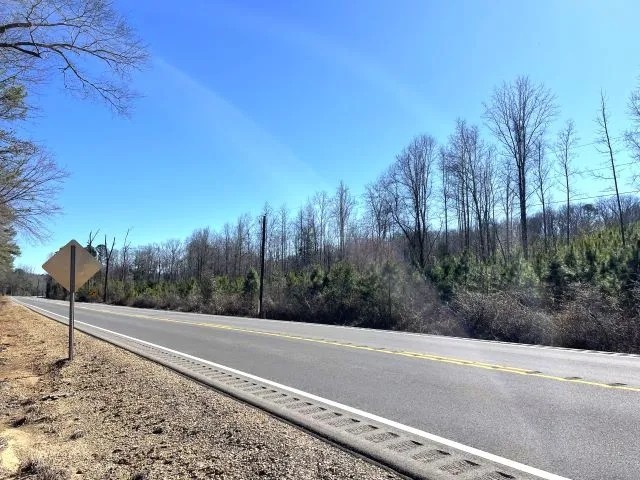 Millport Hwy. 17 Tract featured image
