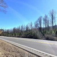 Millport Hwy. 17 Tract