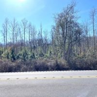 Millport Hwy. 17 Tract images 2