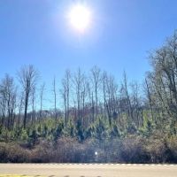 Millport Hwy. 17 Tract images 3