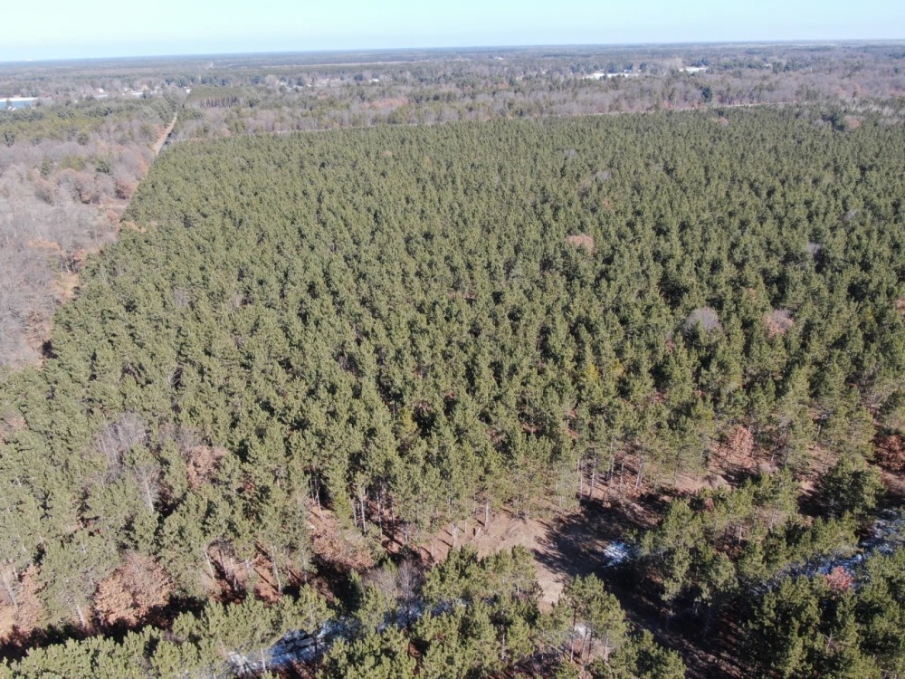 240 acre timber and hunting property for sale in Central Wisconsin featured image