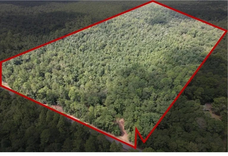87 Acres in Jackson County in Lucedale MS featured image