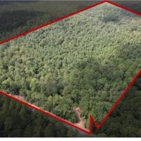 87 Acres in Jackson County in Lucedale MS