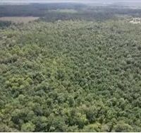 87 Acres in Jackson County in Lucedale MS images 2